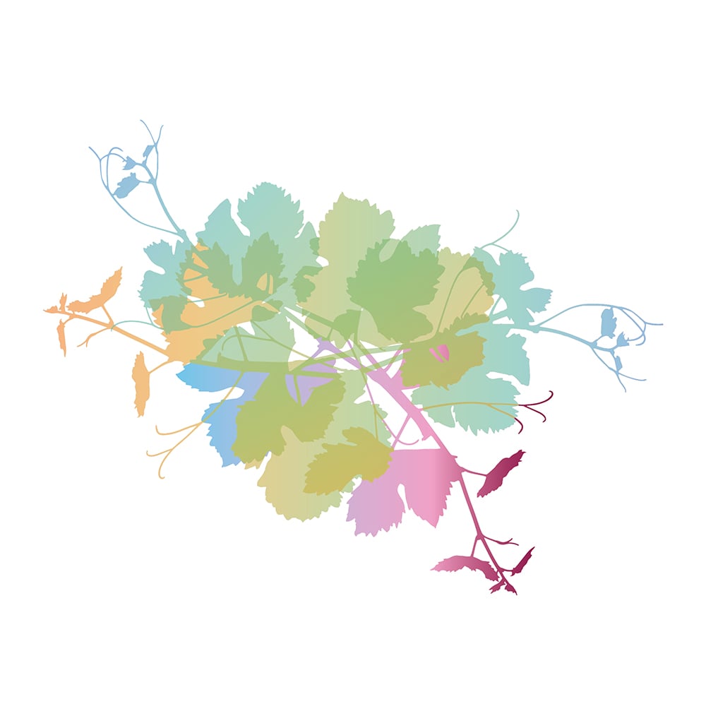 Cover Design Illustration